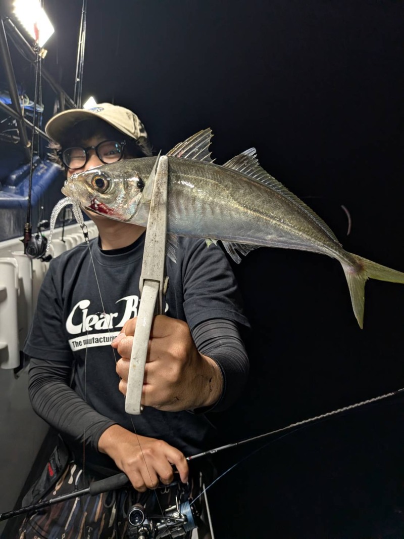 京都府宮津市田井【ワープゾーン】マイカ・アジ釣果