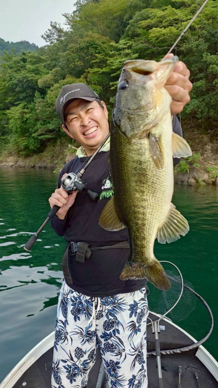 奈良県池原ダムのレンタルボートでブラックバス釣果