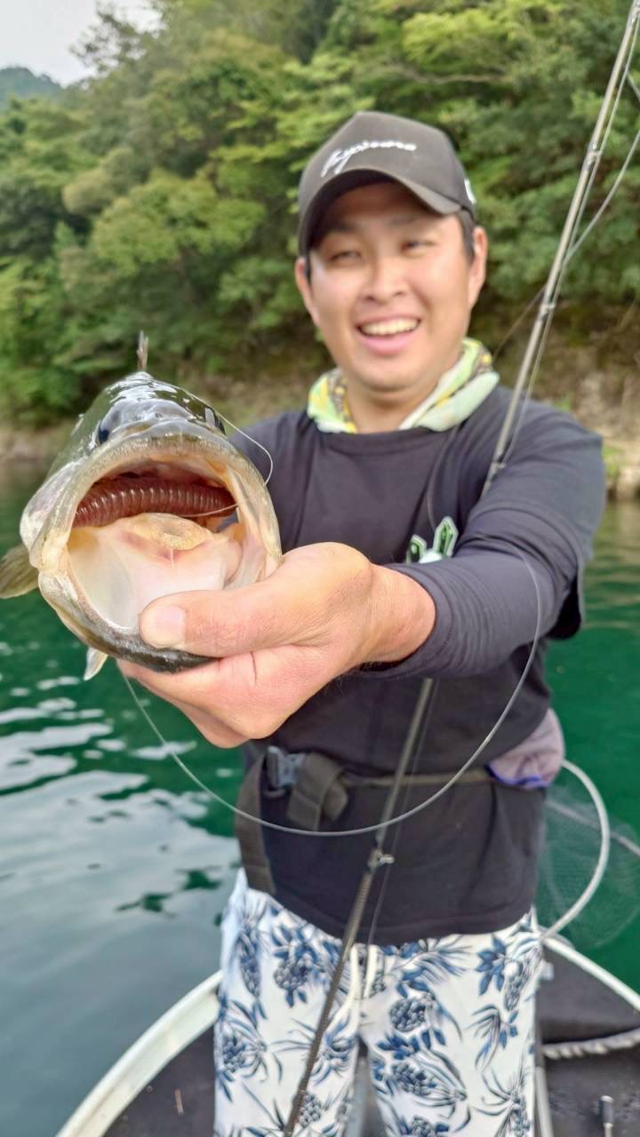 奈良県池原ダムのレンタルボートでブラックバス釣果