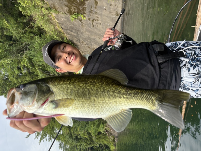 奈良県池原ダムのレンタルボートでブラックバス釣果
