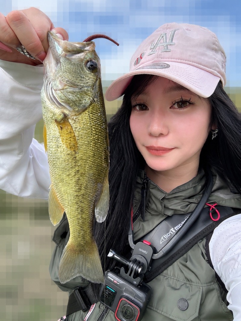 兵庫県淡路島の陸っぱりからブラックバス釣果
