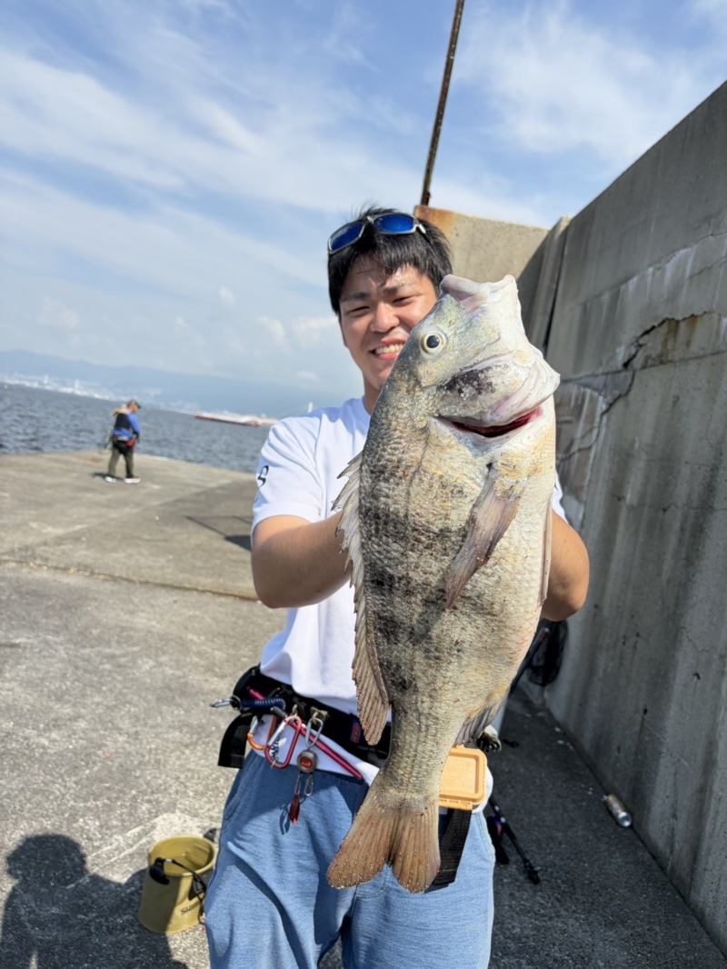 兵庫県尼崎『フェニックス』へチ釣りでチヌ・グレ釣果