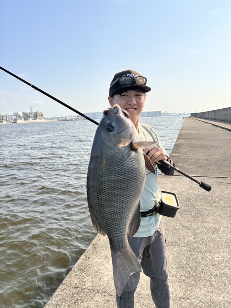 兵庫県尼崎『フェニックス』へチ釣りでチヌ・グレ釣果