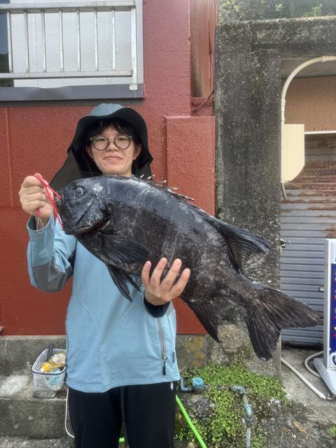 三重県尾鷲市 【榎本渡船】磯釣りの 石鯛釣果