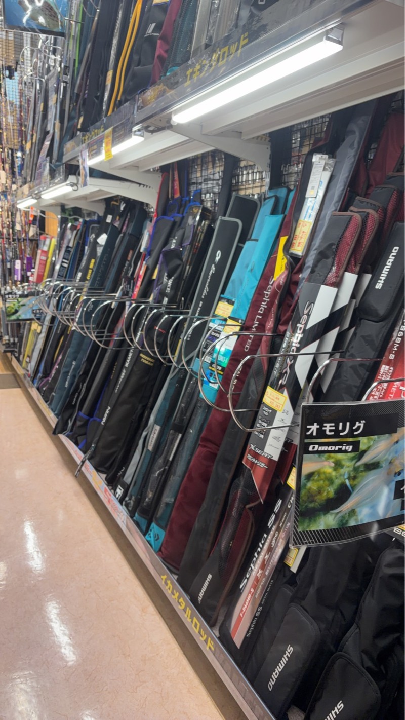 福井小浜【宙丸(そらまる)】イカメタルでケンサキイカ釣果