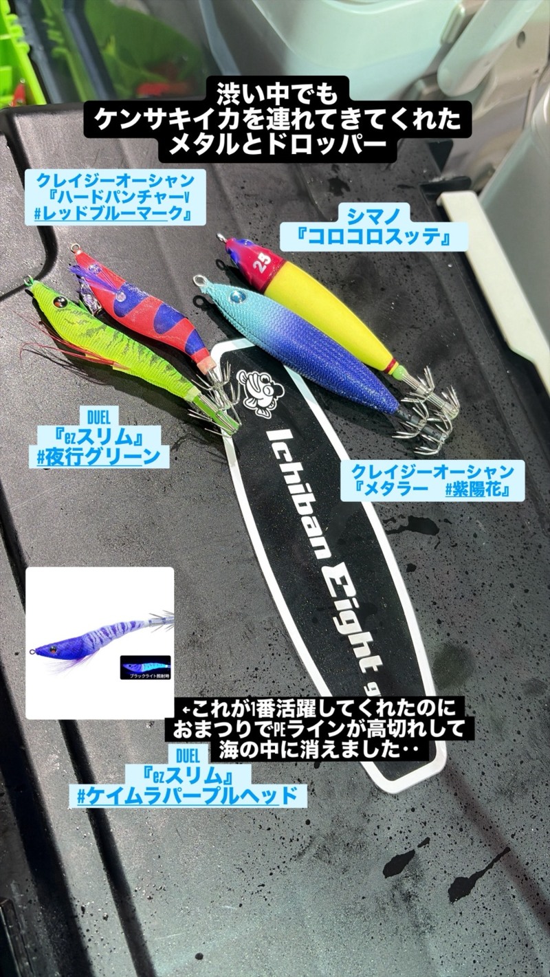 福井小浜【宙丸(そらまる)】イカメタルでケンサキイカ釣果