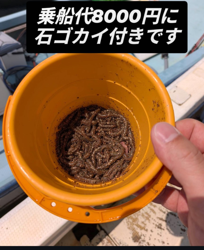 兵庫県須磨沖「大ちゃん丸」キス釣果