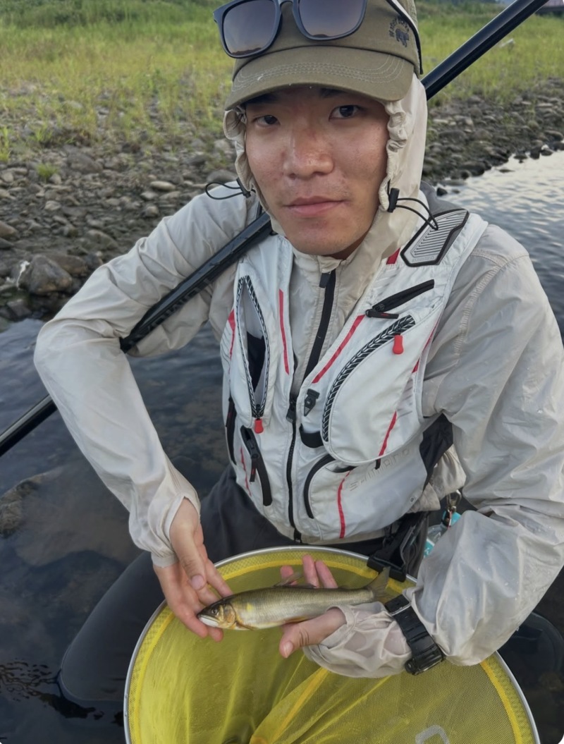 福井県日野川の友釣りで鮎釣果