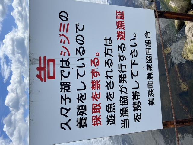 福井県久々子湖でルアー釣りでのハゼ釣果