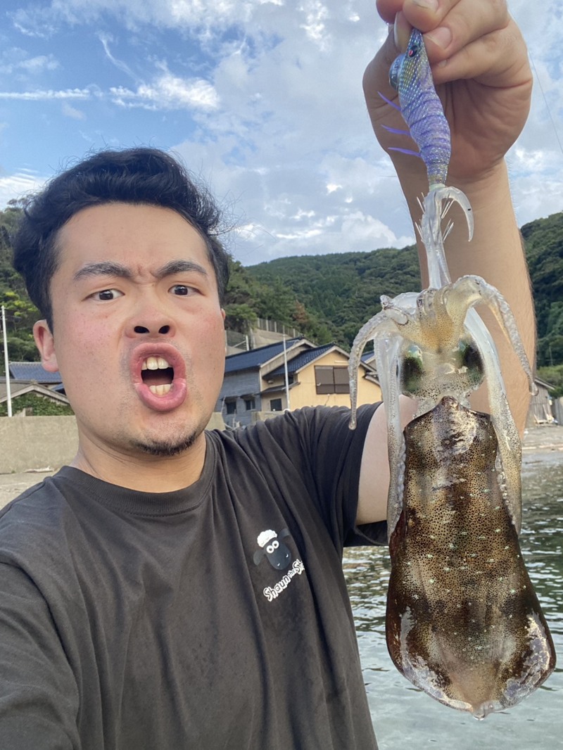 京都府宮津市エギングでアオリイカ釣果