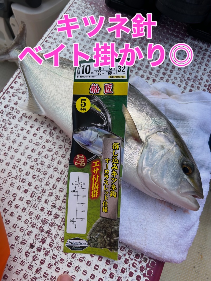 和歌山県「千代丸」落とし込みで鯛、オオモンハタ釣果