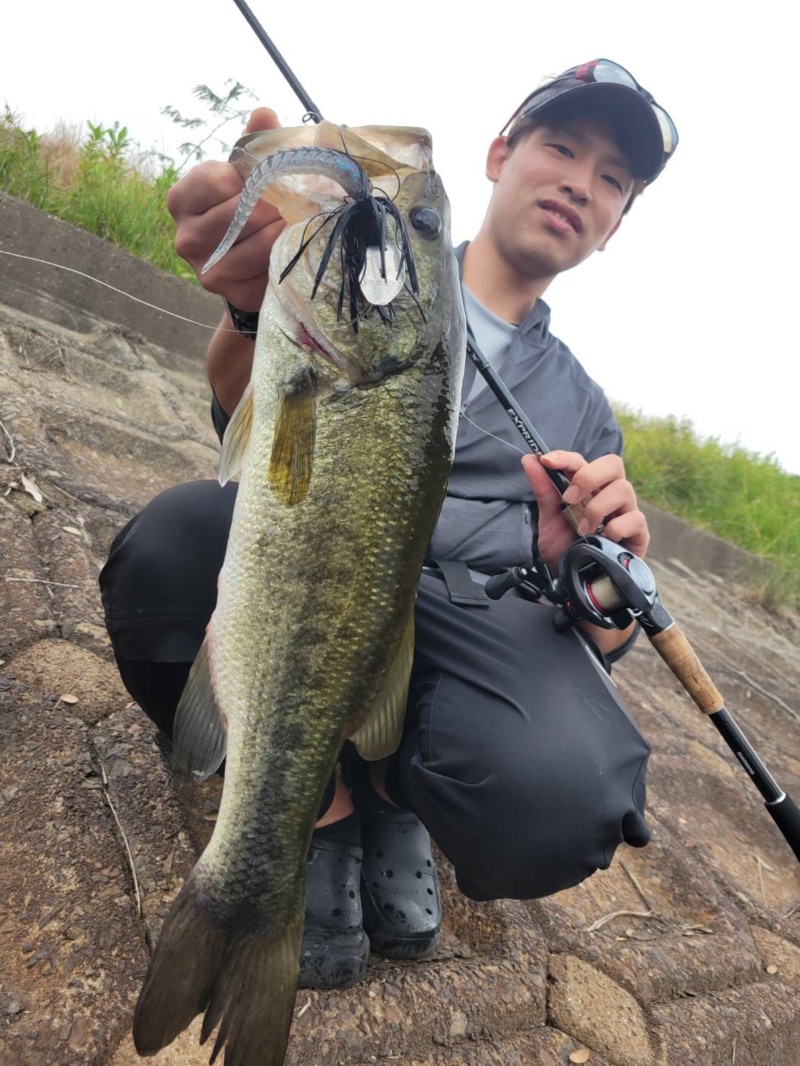 淡路島のオカッパリでブラックバス釣果