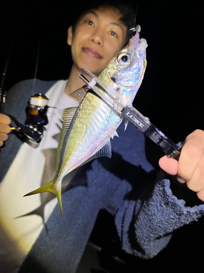 和歌山県陸っぱりのジグ単でアジ釣果