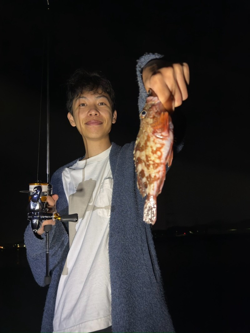 和歌山県陸っぱりのジグ単でアジ釣果