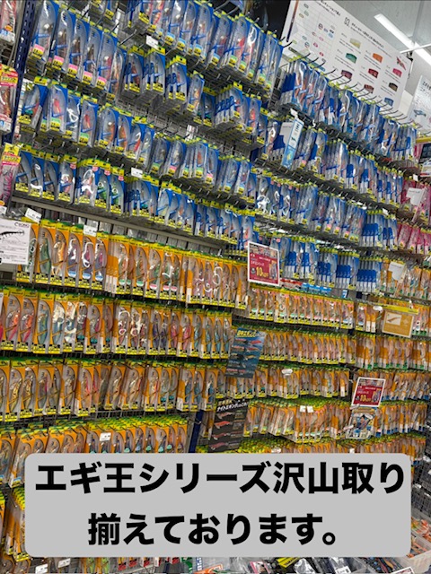 雨の中陸っぱりエギング
