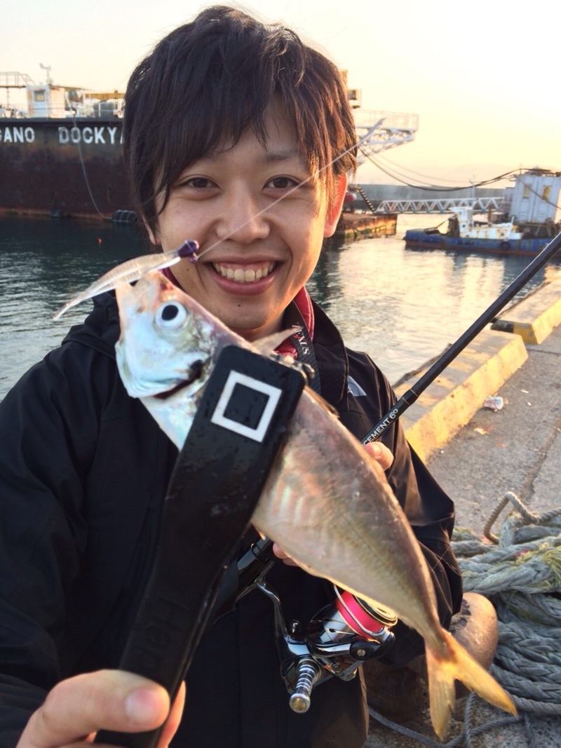 絶好調 淡路島のアジング つり具豊富フィッシングイチバン エイト大阪 神戸 京都の大型釣具店
