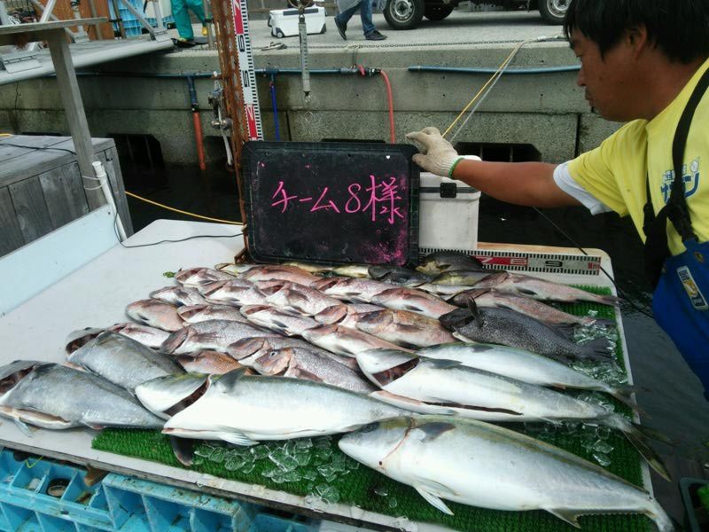 サザン 釣り堀