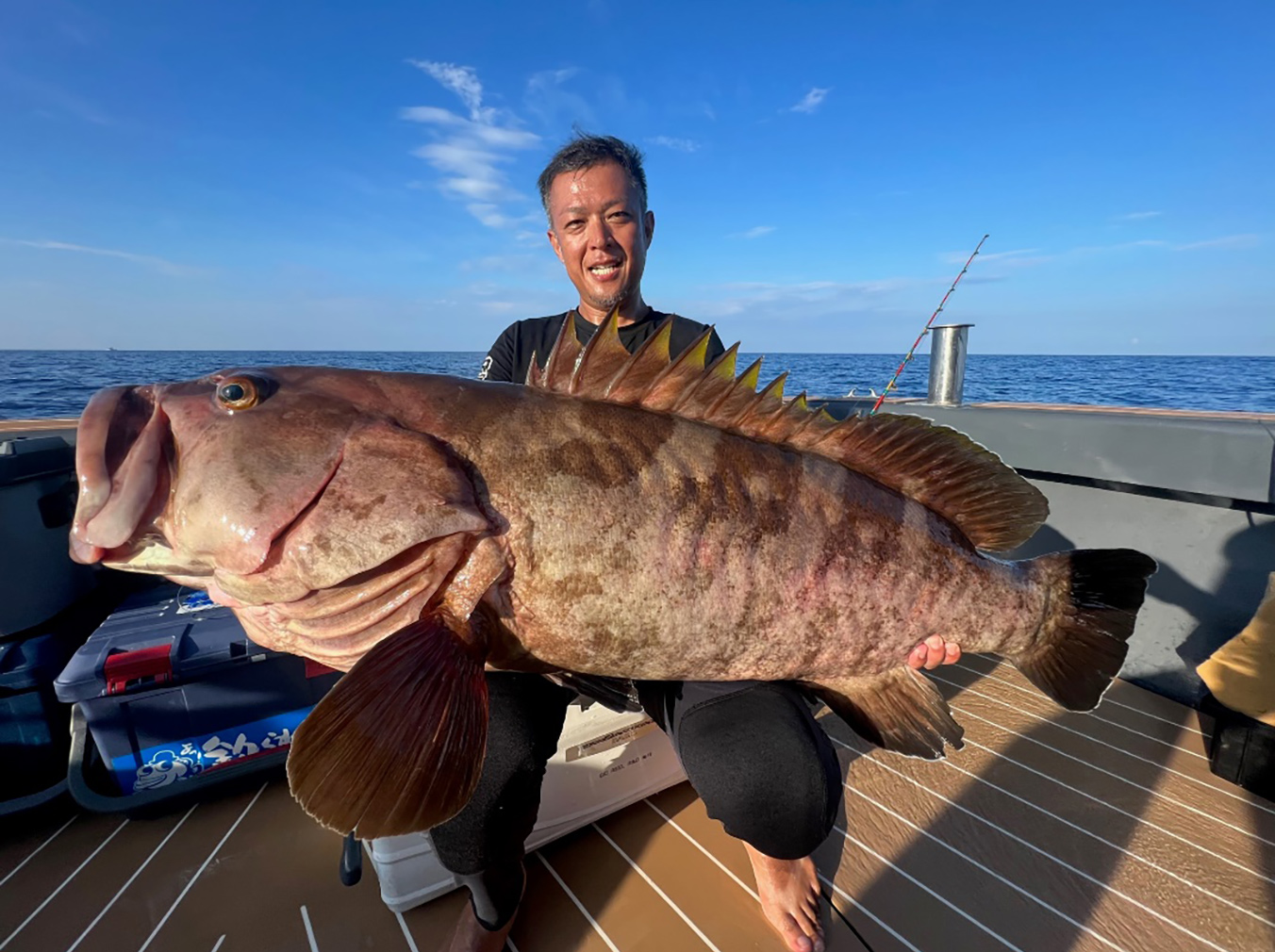 釣り三昧の五島釣果レポート