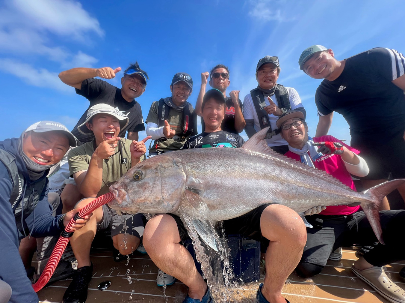 釣り三昧の五島釣果レポート