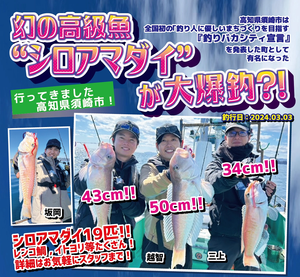行ってきました高知県須崎氏！幻の高級魚“シロアマダイ”が大爆釣？シロアマダイ19匹！レンコ鯛、イトヨリ等たくさん！詳細はお気軽にスタッフまで