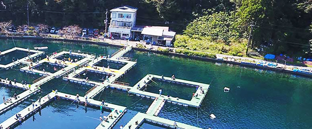 フィッシングランド日向