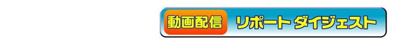 ソルトウォーター＆エギ祭り in 京都