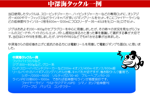 中深海タックル一例