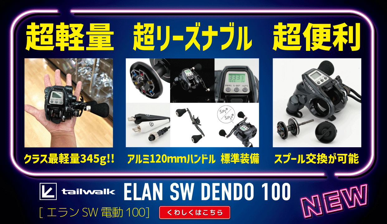 tailwalk エラン SW DENDO 100