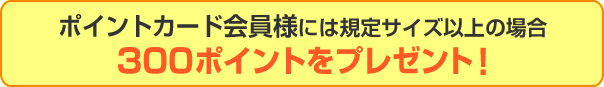 ポイントカード会員様には規定サイズ以上の場合300ポイントをプレゼント！