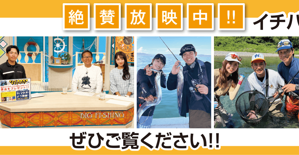 ぜひご覧ください