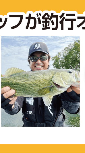 ぜひご覧ください