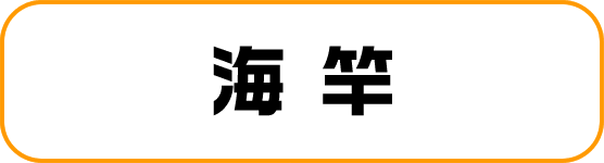 フィッシングエイト2 海竿