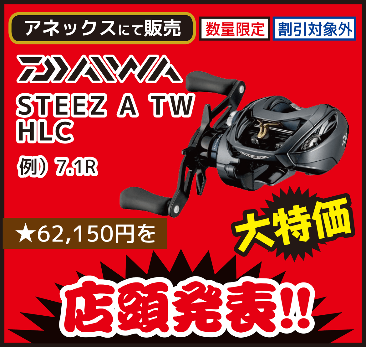 リール DAIWA（ダイワ） STEEZ A TW HLC