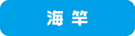 フィッシングエイト2 海竿