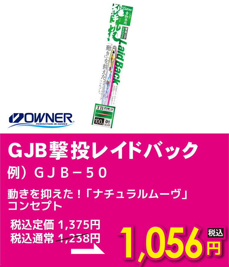 オーナー GJB撃投レイドバック