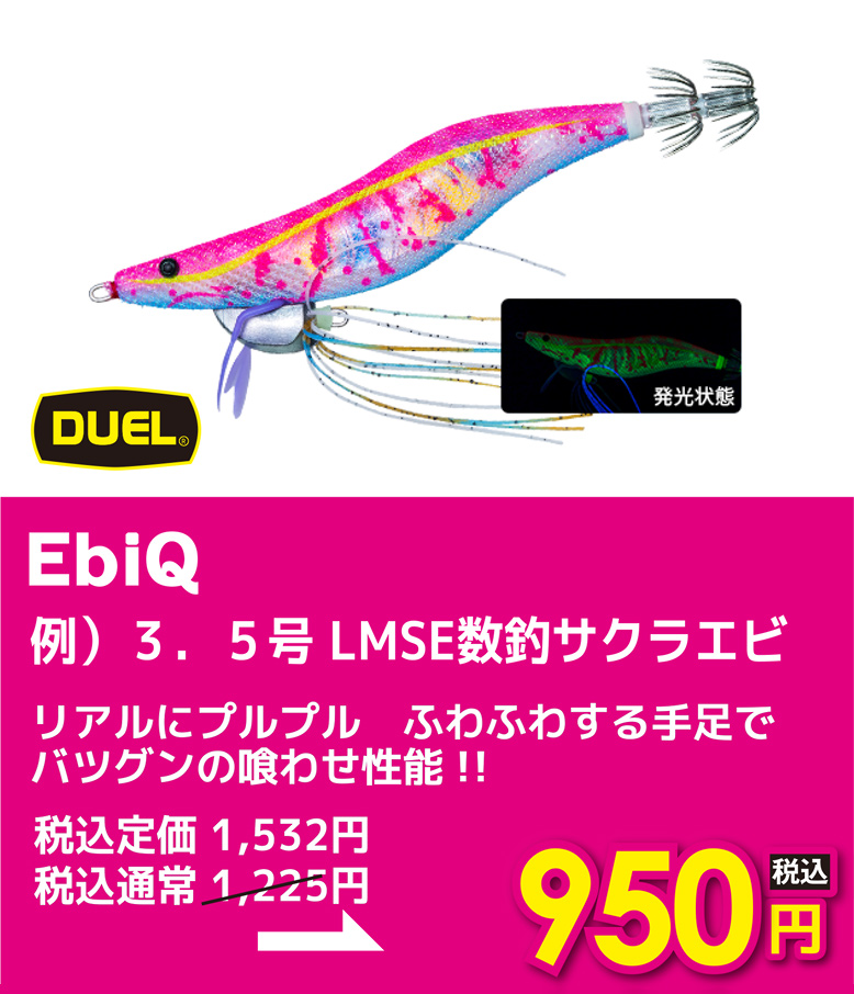 デュエル EbiQ