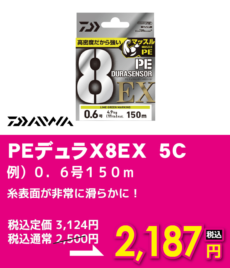 ダイワ PEデュラX8EX 5C