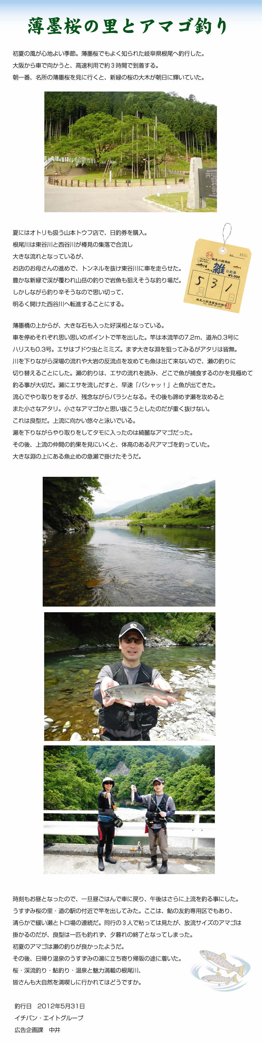 薄墨桜の里とアマゴ釣り