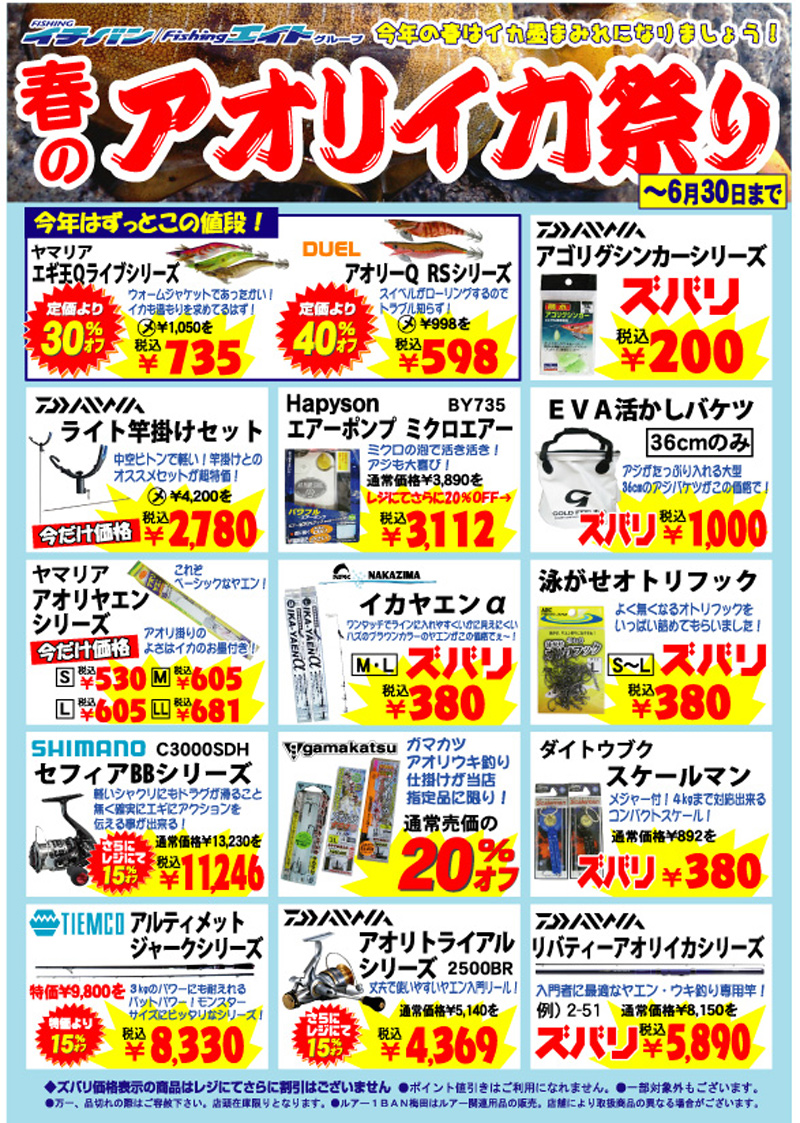 春のアオリイカ祭り