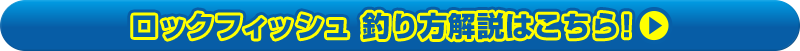 ロックフィッシュ 釣り方解説はこちら！