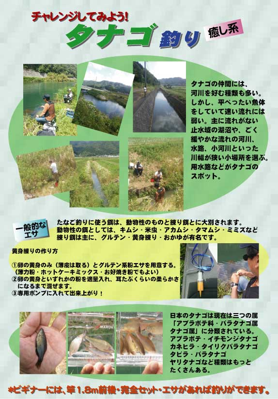 癒し系。タナゴ釣りにチャレンジしてみよう！