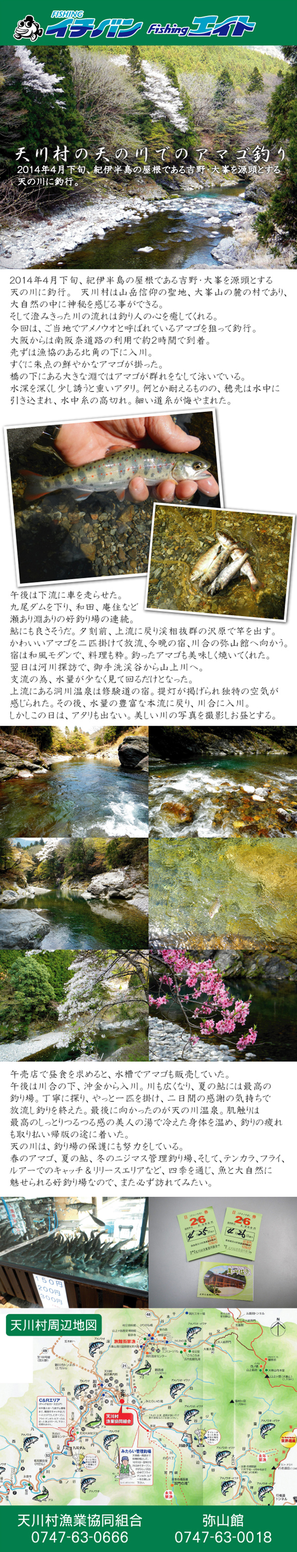 天川村の天の川でアマゴ釣り