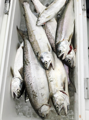 2017年7月2日　琵琶湖ビワマストローリング体験報告